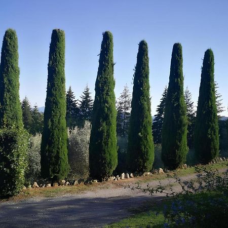 Villa casa marconi Vetriano Esterno foto