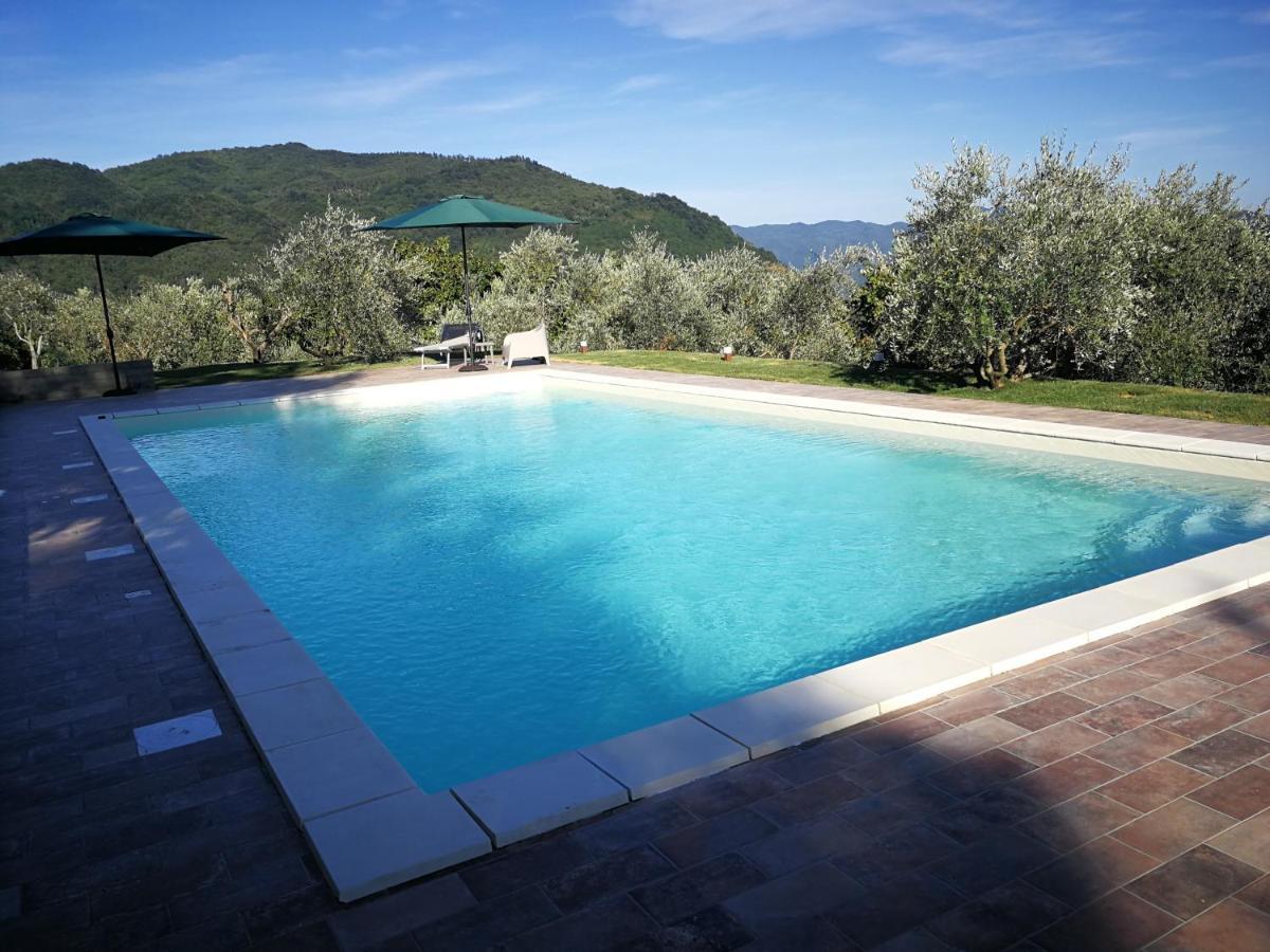 Villa casa marconi Vetriano Esterno foto