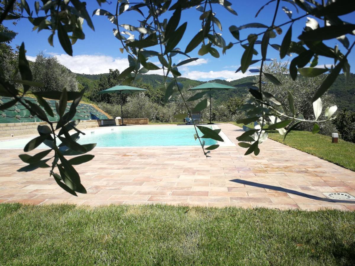 Villa casa marconi Vetriano Esterno foto