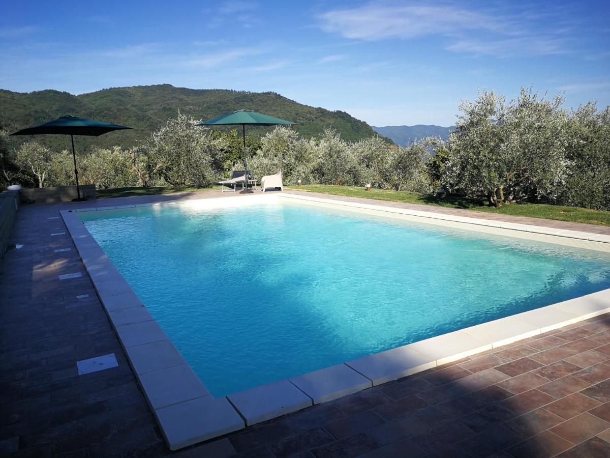 Villa casa marconi Vetriano Esterno foto
