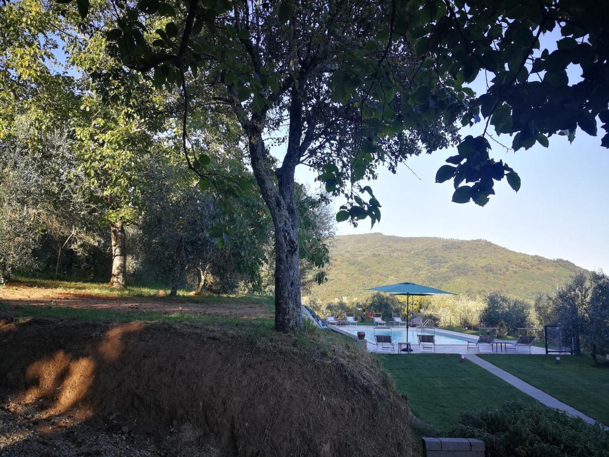 Villa casa marconi Vetriano Esterno foto