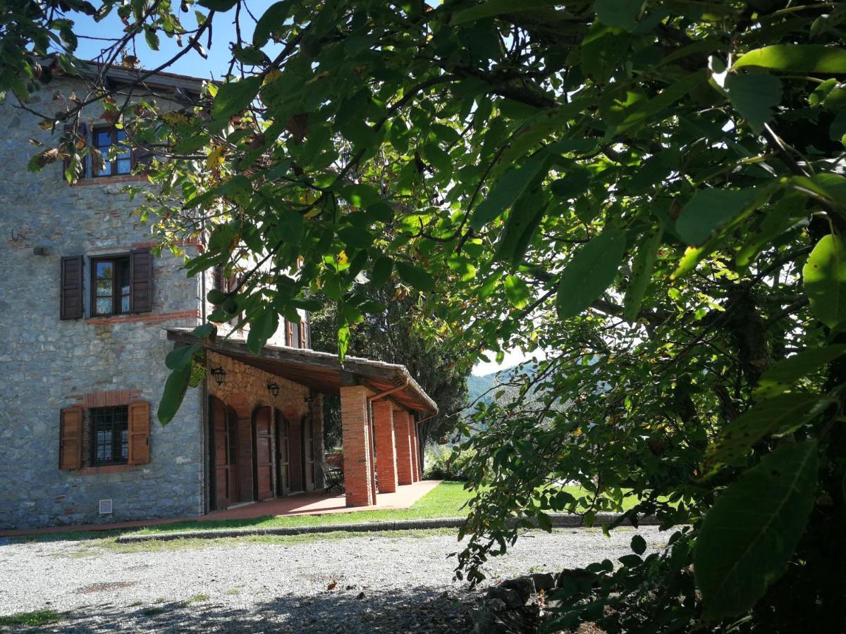 Villa casa marconi Vetriano Esterno foto