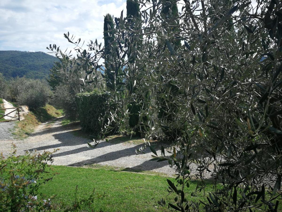Villa casa marconi Vetriano Esterno foto