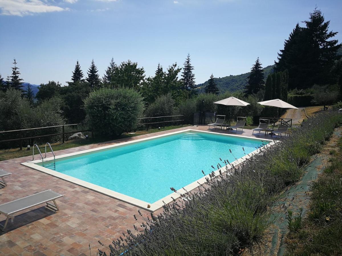 Villa casa marconi Vetriano Esterno foto