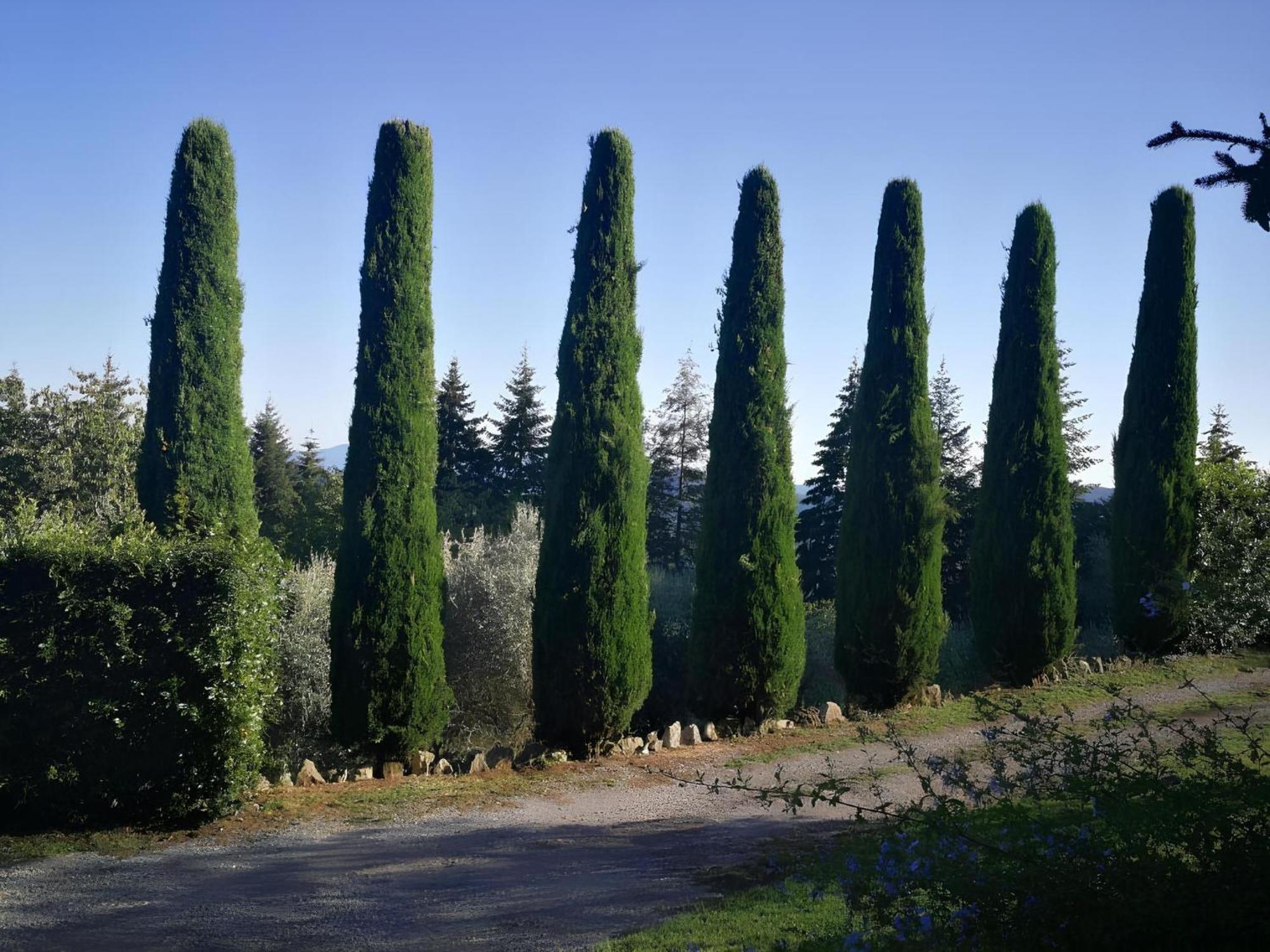 Villa casa marconi Vetriano Esterno foto